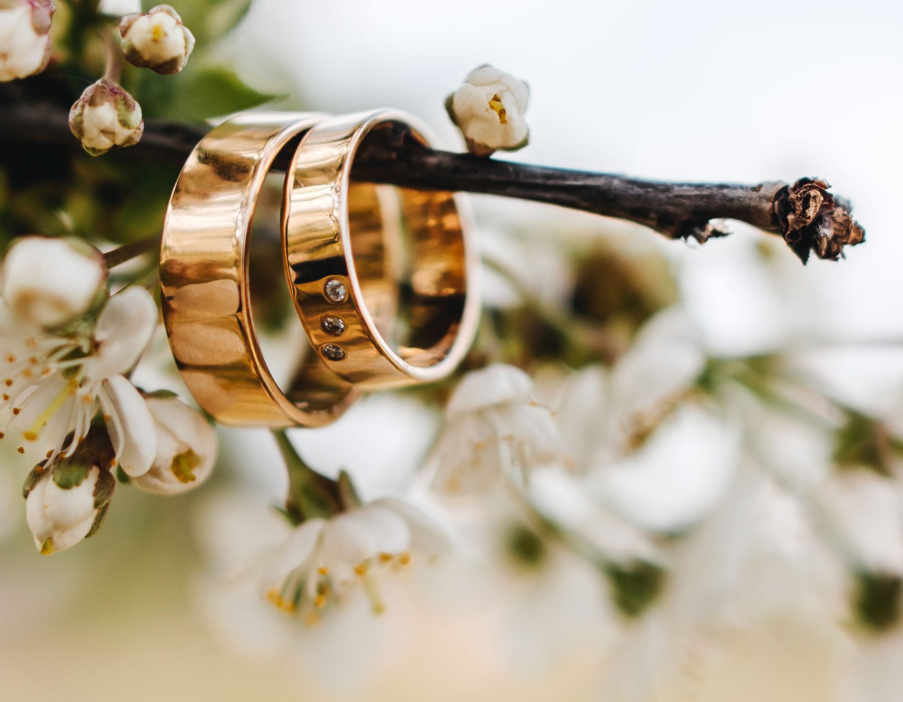 Wedding-Rings-on-branch
